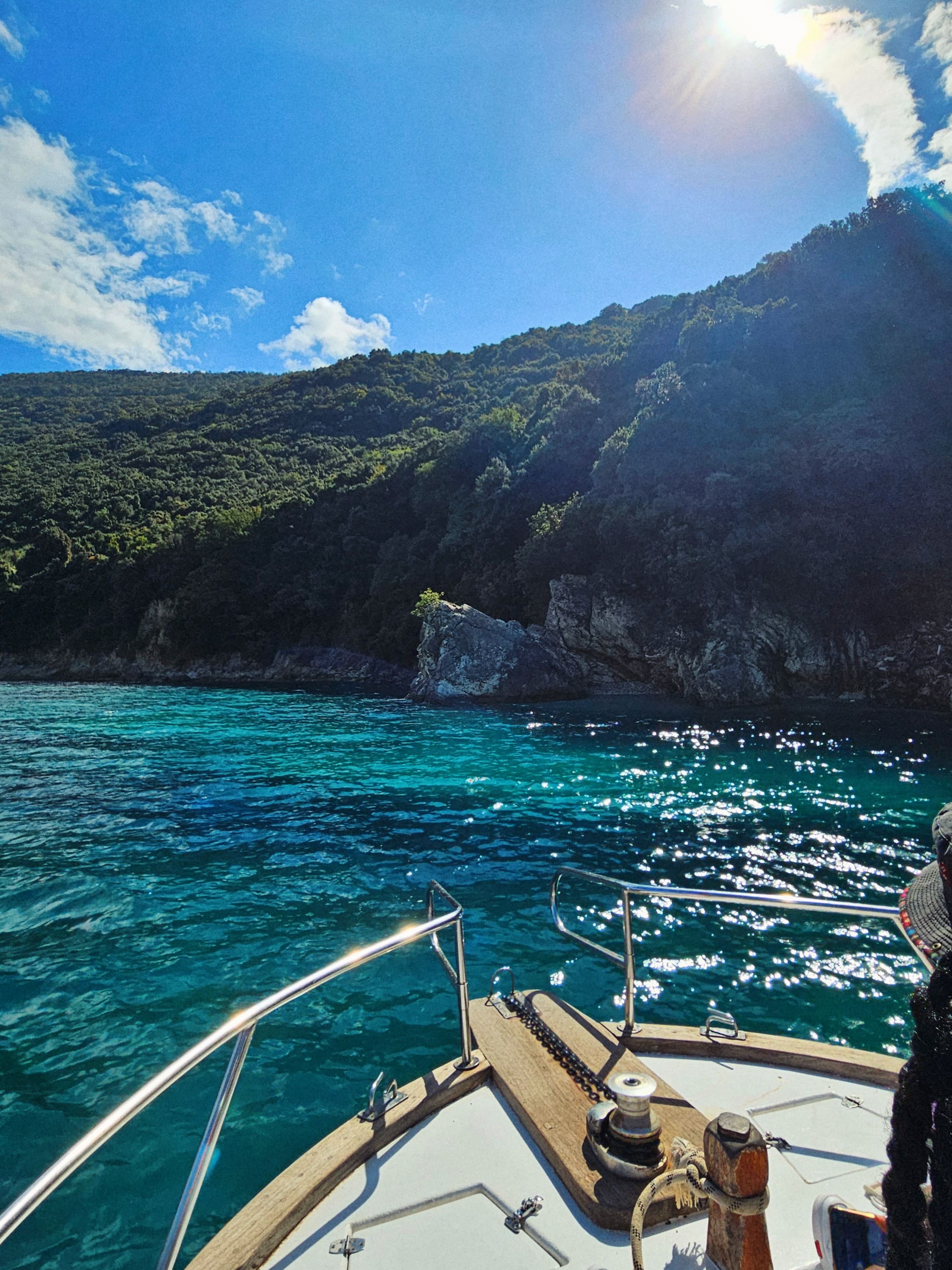 a japanese style building with a japanese roof and trees around it