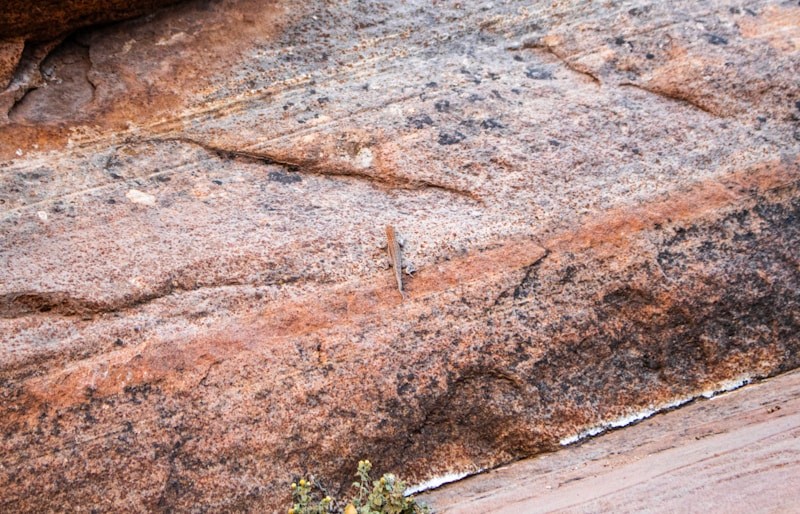 var(--variable-uLw71tteJ)