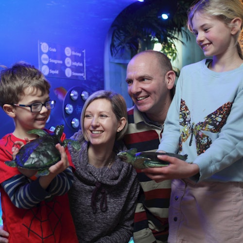 A family of four smiling and holding toy turtles inside a dimly lit, blue-themed exhibit room.