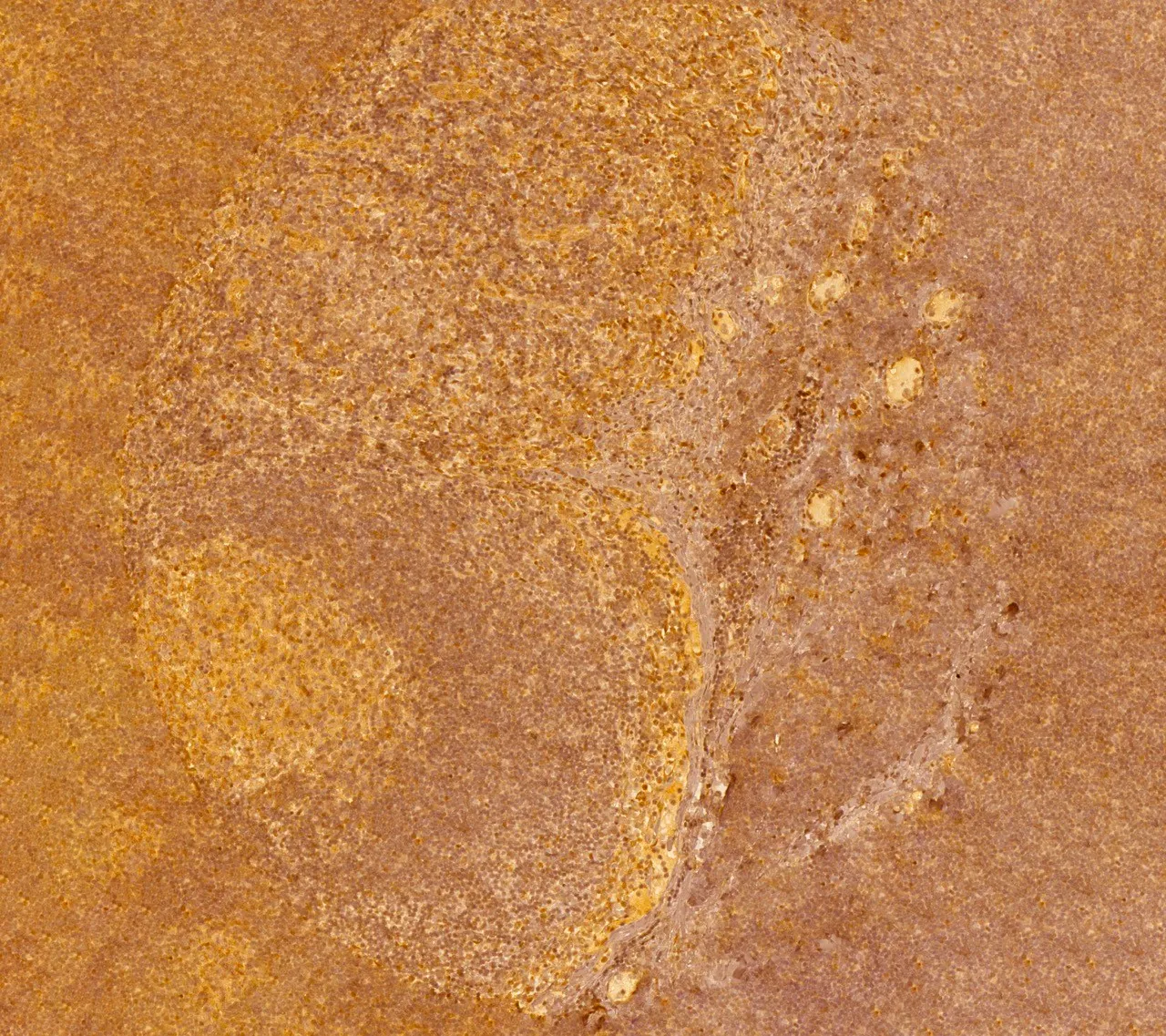 A close-up of a textured, orange surface with a faint, abstract circular pattern in the center.