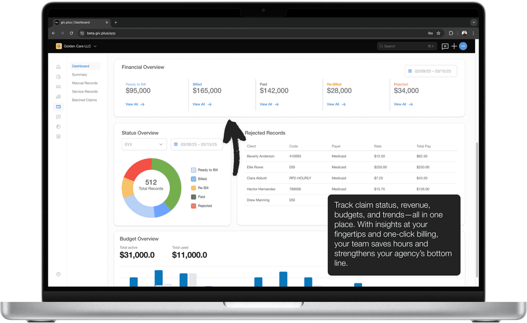 Revenue overview software.
