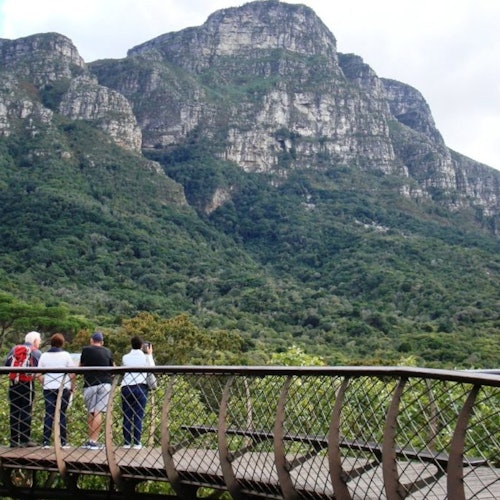 克斯腾博什花园