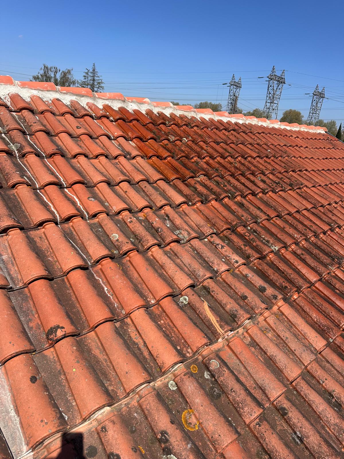 Landscaper and Landscaping gardening service template framer by real mehedi