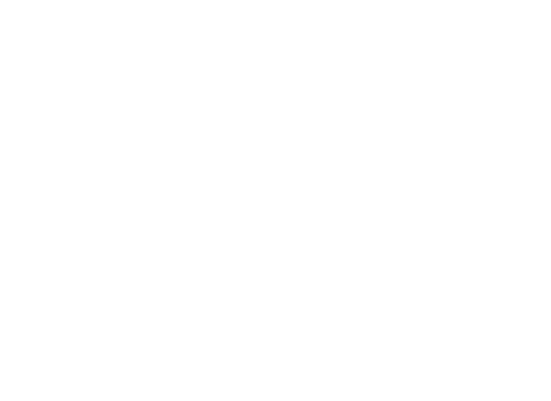 N2