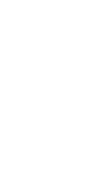 UNDP - United Nations Development Programme
