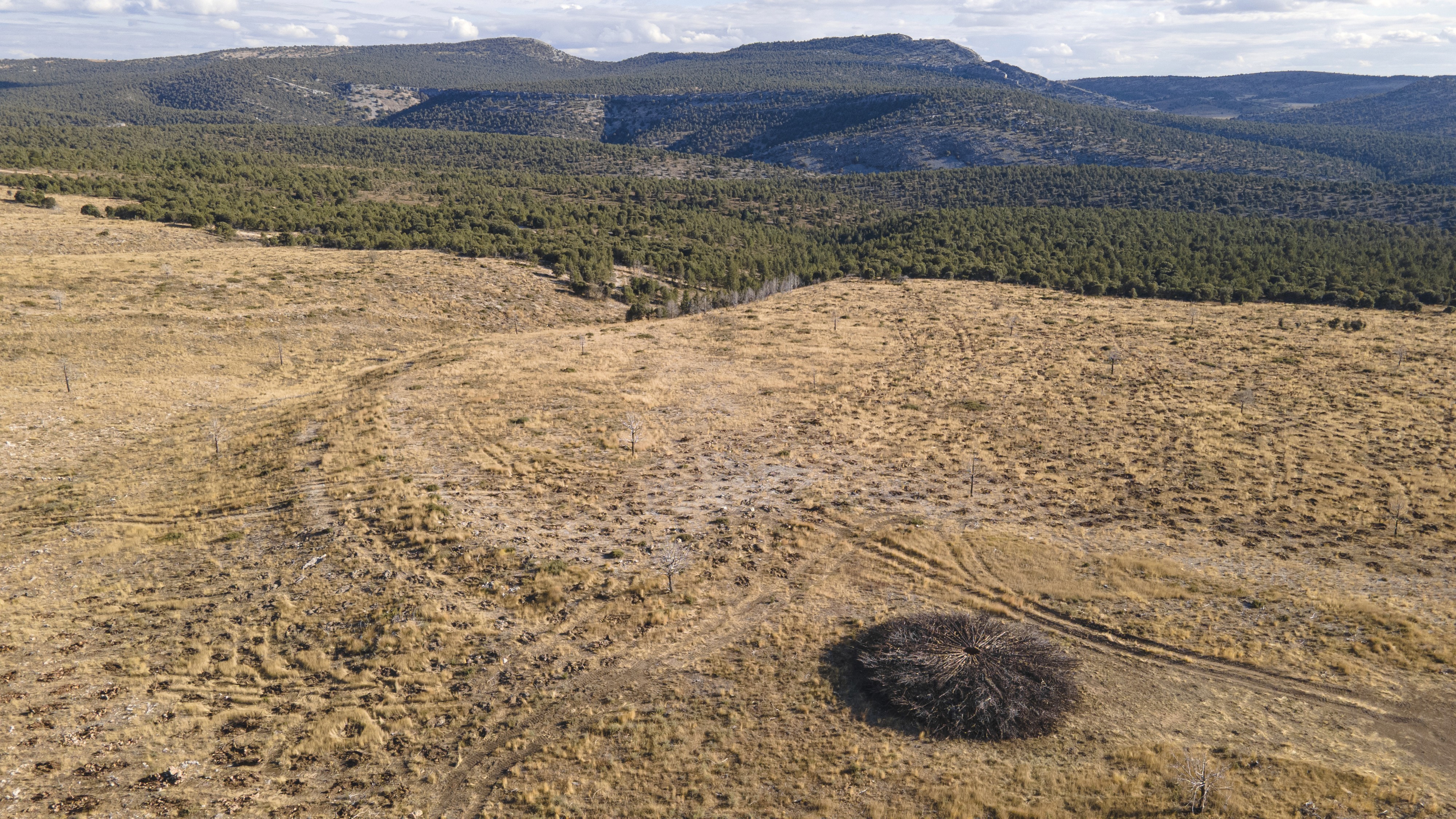 Socarrado, Nomad Studio, 41.9625° N, 3.4189° W Parque Natural Sabinares del Arlanza - La Yecla, Castilla y Leon, Spain, uncommissioned, 2025