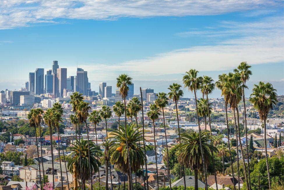 Picture of Los Angeles with palm trees in foreground and skyline behind