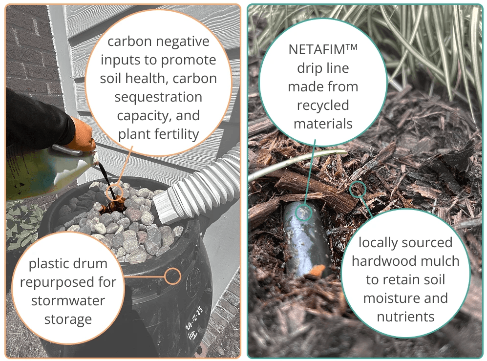 A retaining wall on the side of a house with 5 bushes planted on top of the wall