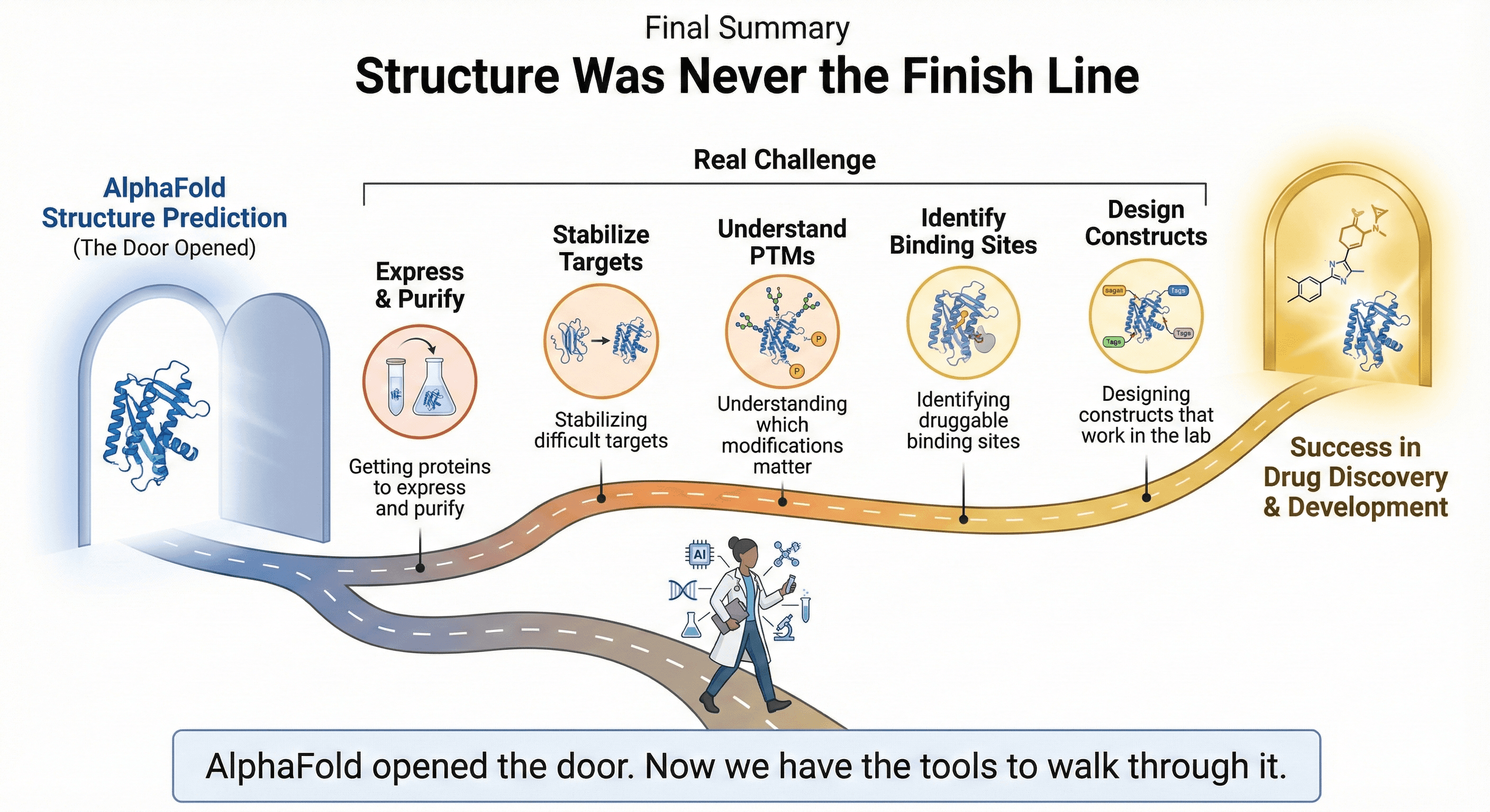 Diagram Showingthe Path from AlphaFold Prediction to Success in Drug Discovery