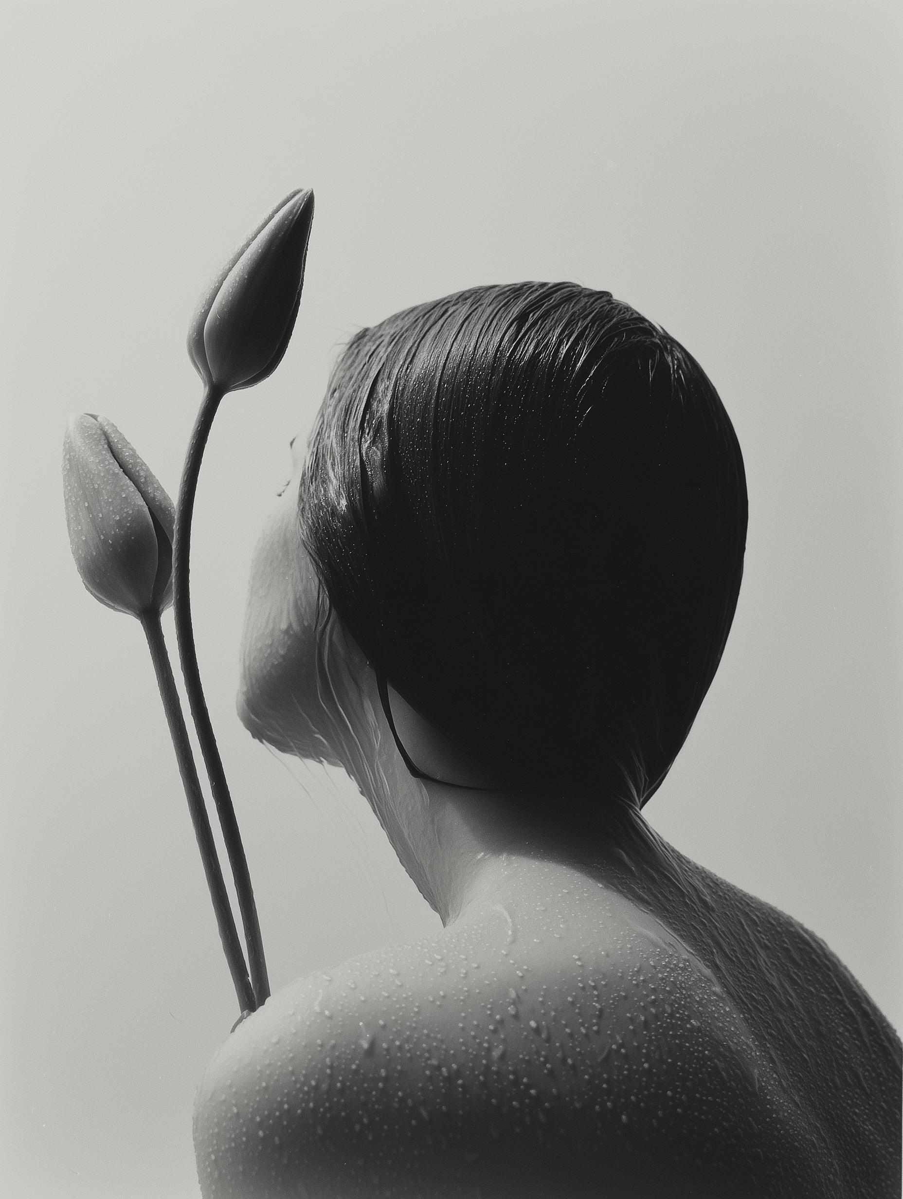 - Wet figure with two tulip buds