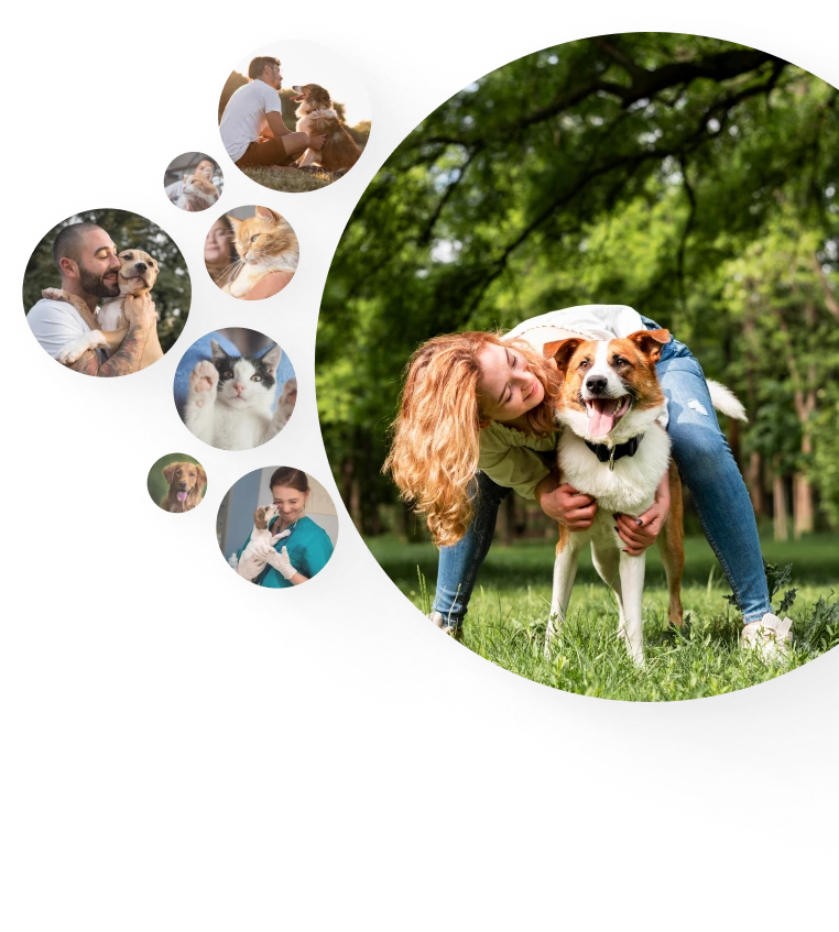 momentos felizes em família