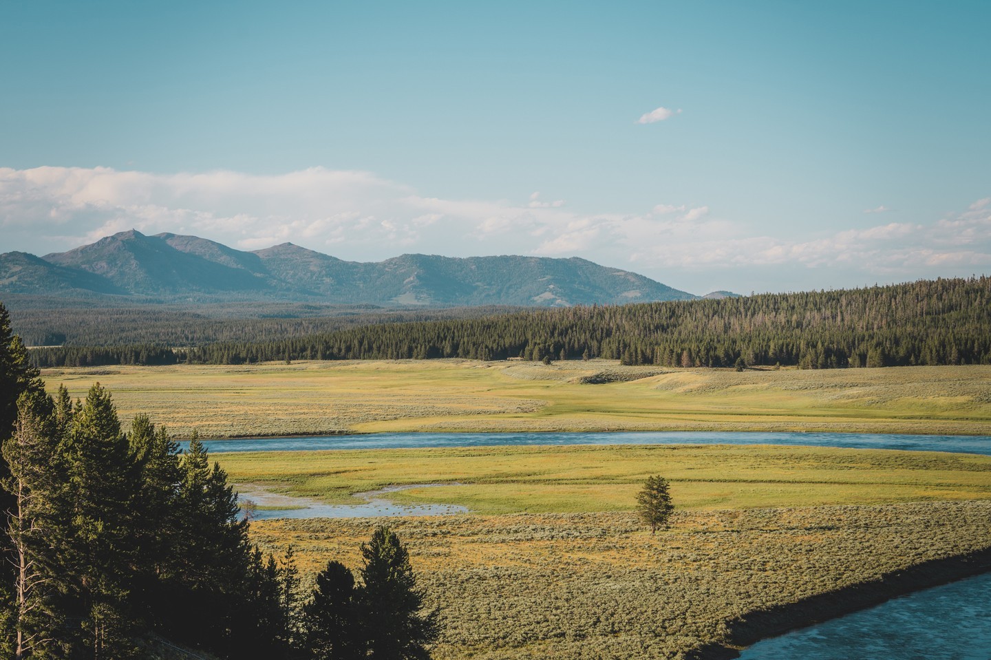Expansive view of meandering rivers through grassy plains with forested mountains in the background under a clear blue sky.