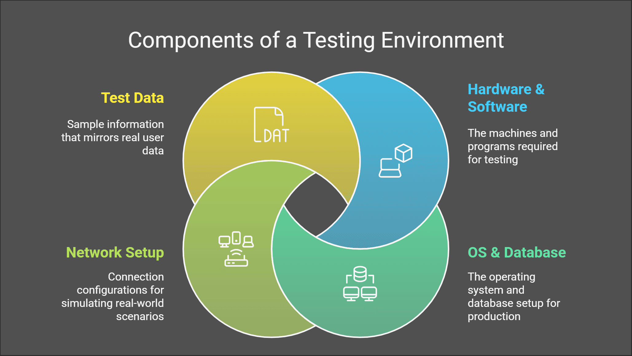 Components of a Testing Environment