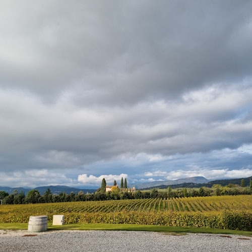Panoramic view & vineyards