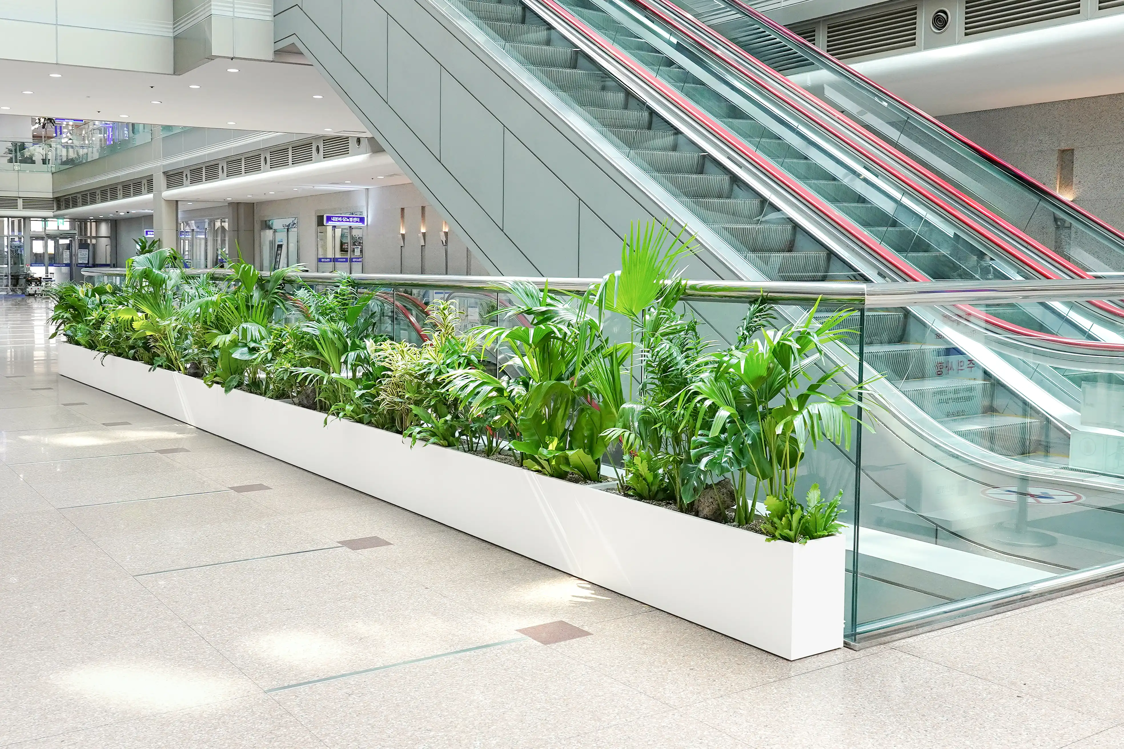 플랜테리어가 도입된 후 더욱 개선된 병원 공간