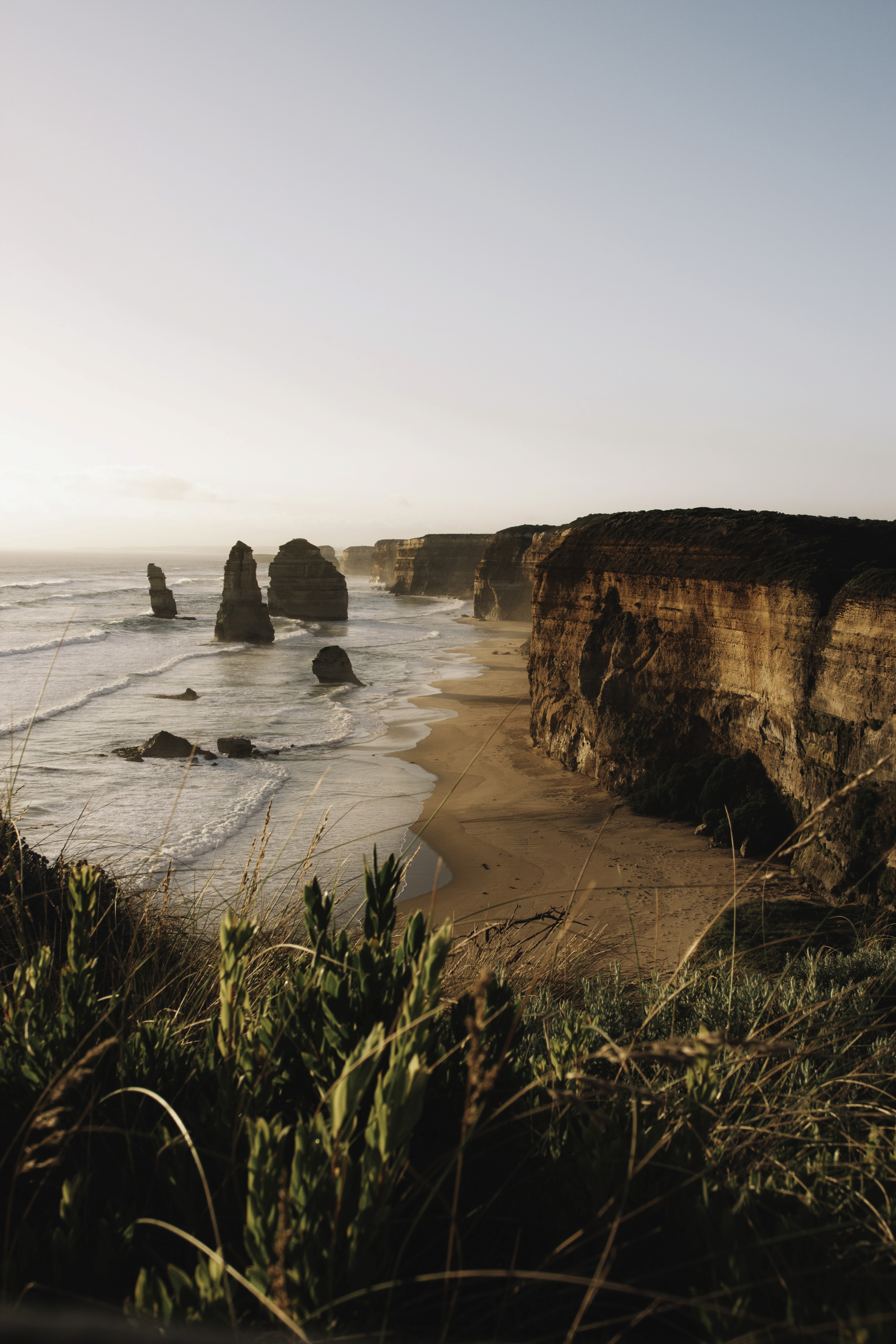 a black female model