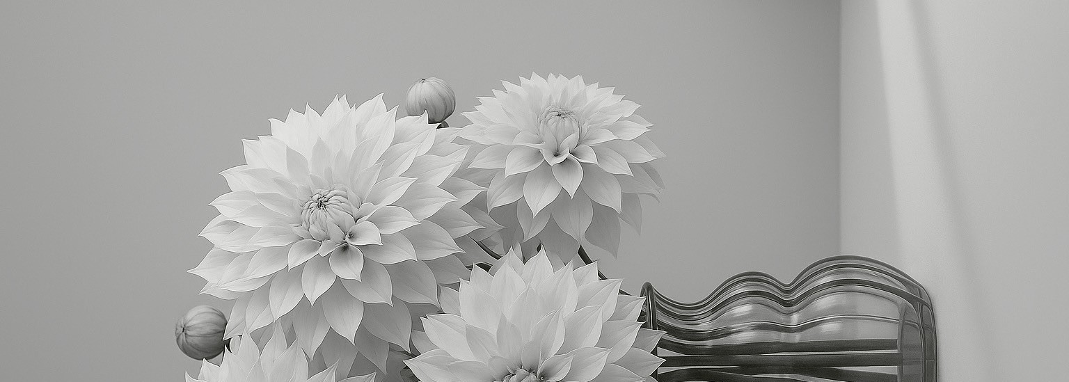 Abstract macro of a glass drop forming a black-and-white flower shape through light refraction on a soft gray background.