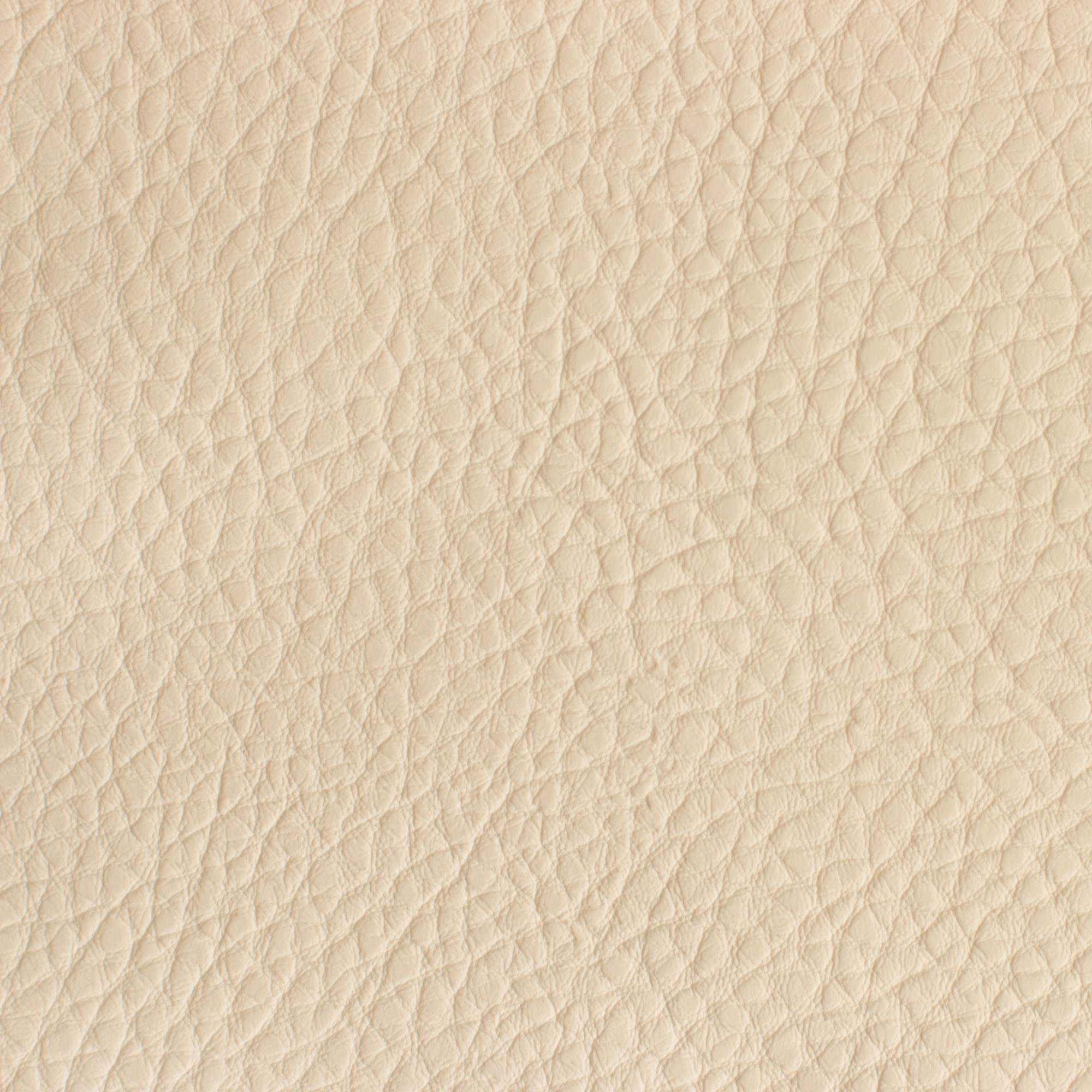 Aged leather background with a stitched border and brass studs