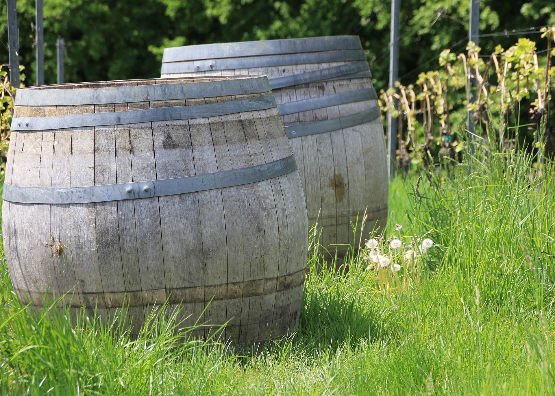 Outdoor lounge under a wooden pergola, draped linen curtains, beige cushions, ocean backdrop, palm shadows dancing on the walls, serene luxury.