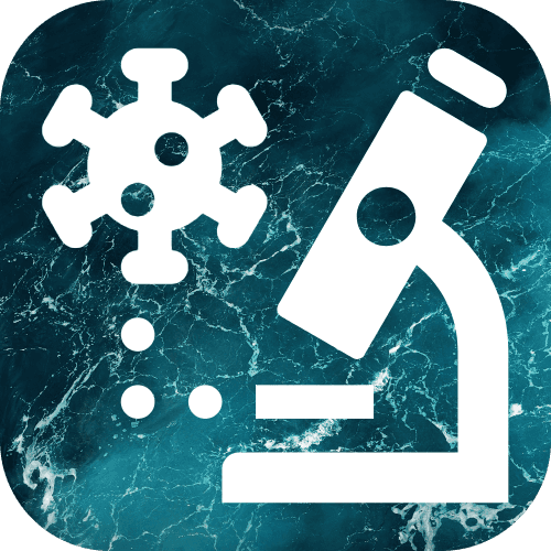 Research & Exploration