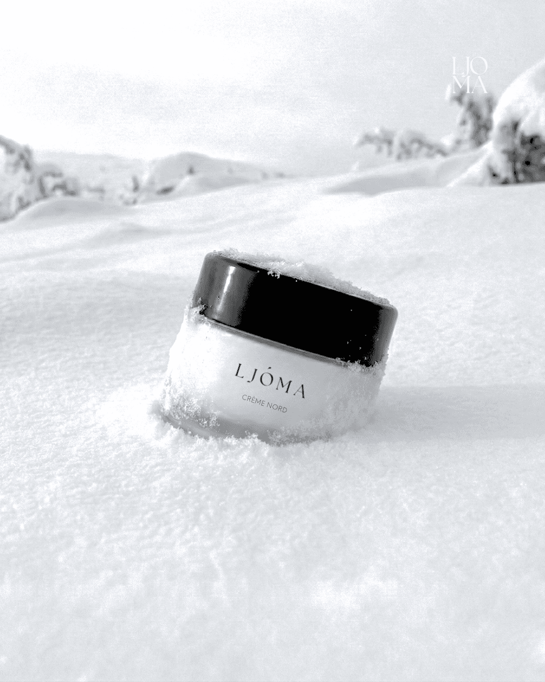 white adidas low-top sneakers