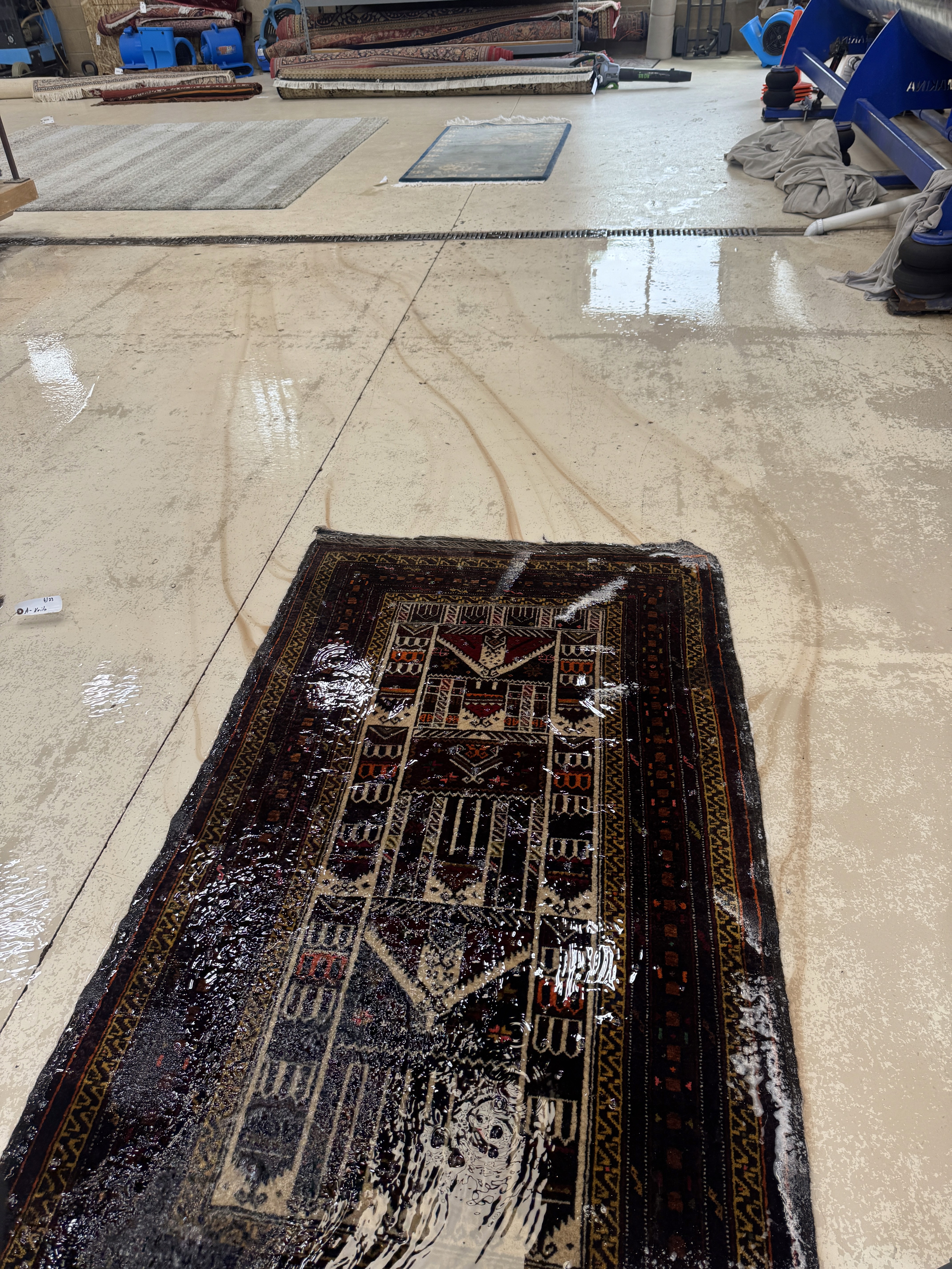 Afgani rug bleeding