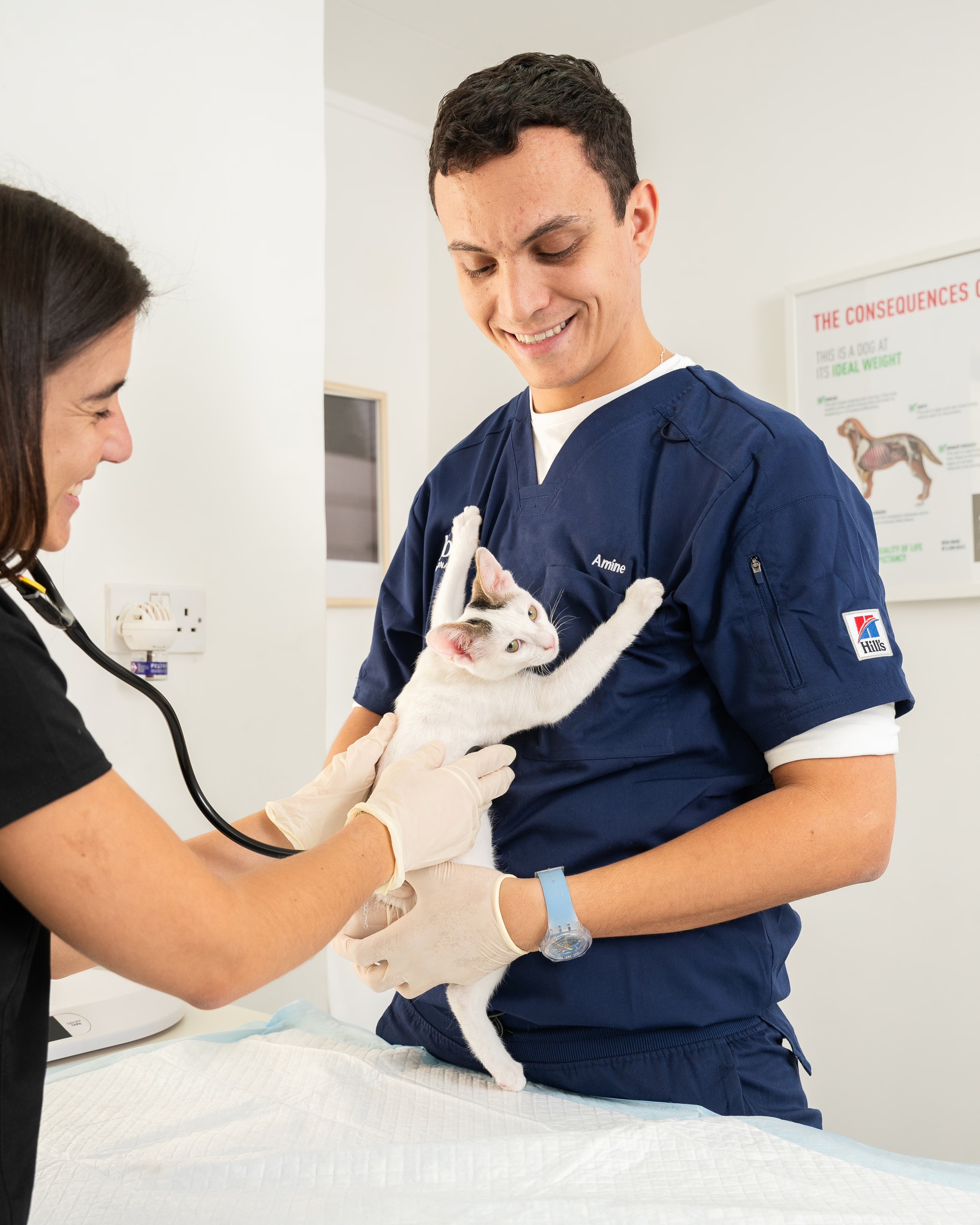 Dr. Soheyl greets a regular dog patient happily at our JLT clinic