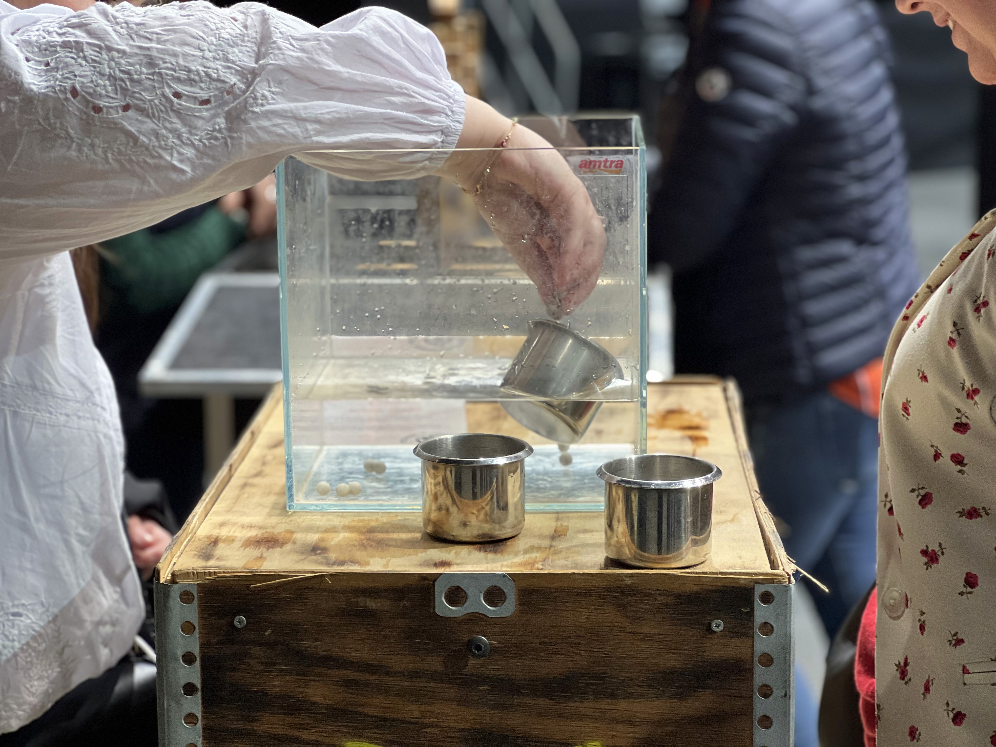 jeu aquarium maitre du temps the place to bee