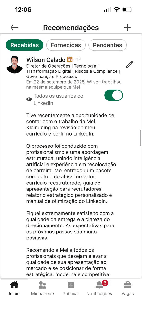 Captura de recomendação publicada por Wilson Calado no LinkedIn sobre a atuação profissional de Mel Kleinübing.