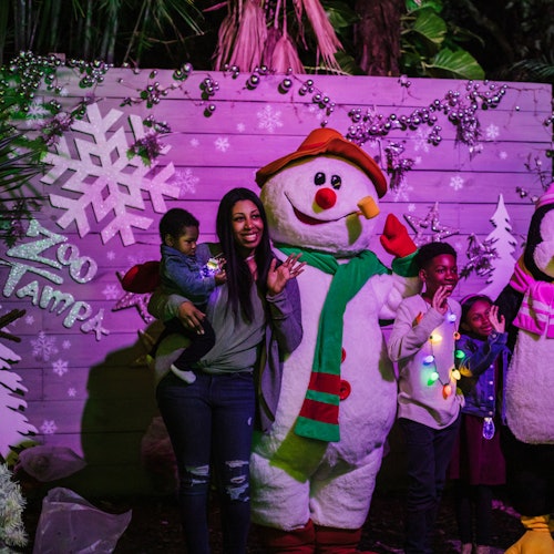 坦帕动物园：野生圣诞节门票信息