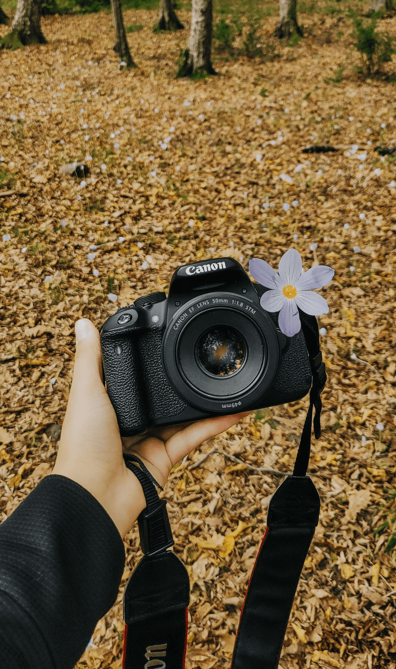 Zenit Camera