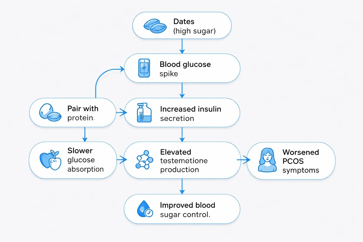 Flowchart on a light gray background showing how dates' sugar spikes insulin, increases testosterone, worsens PCOS symptoms, and how pairing dates with protein can improve glucose control, using blue accents.
