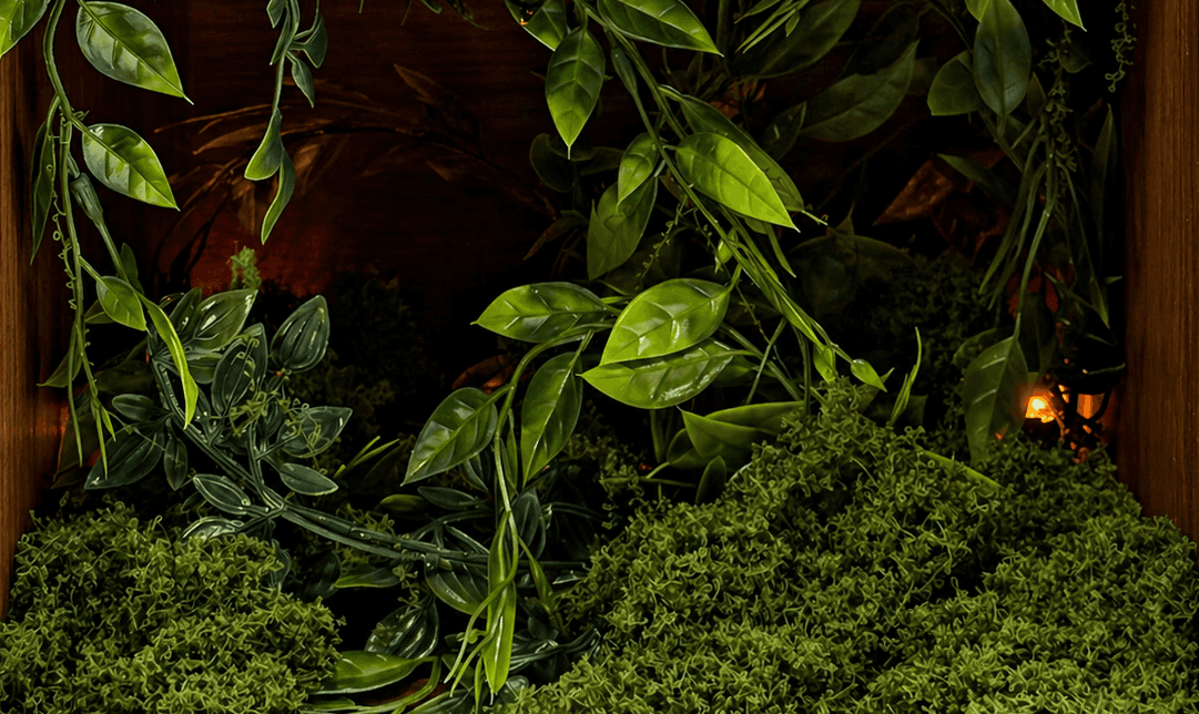 Spatial Identity (Inside)