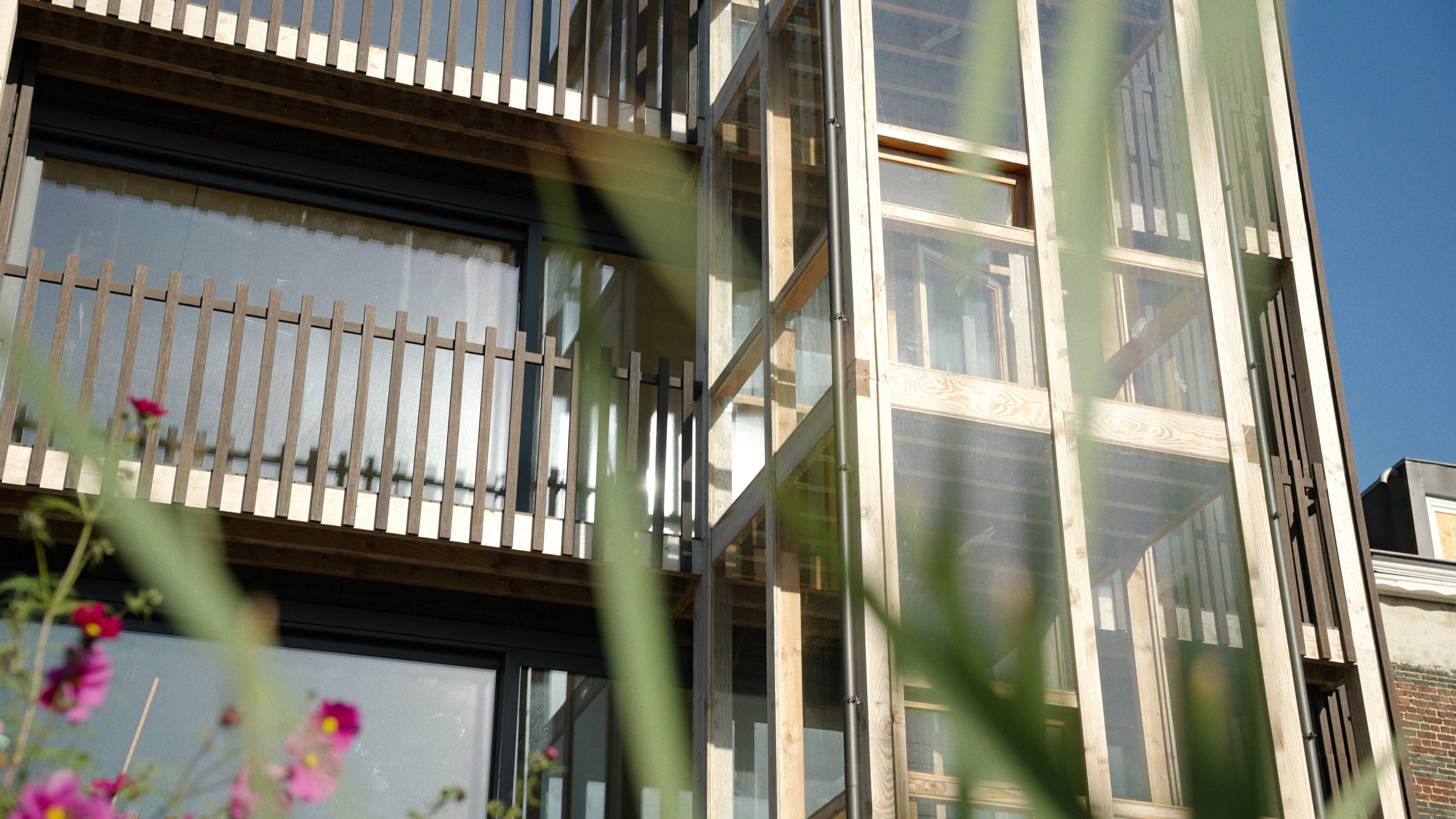 Façade close up from a modern building with blue sky with plants in the foreground