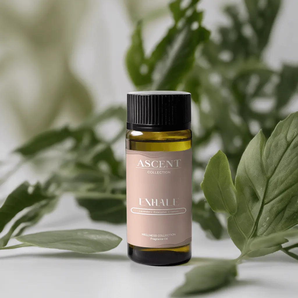 Diffuser Oil Exhale Ingredients