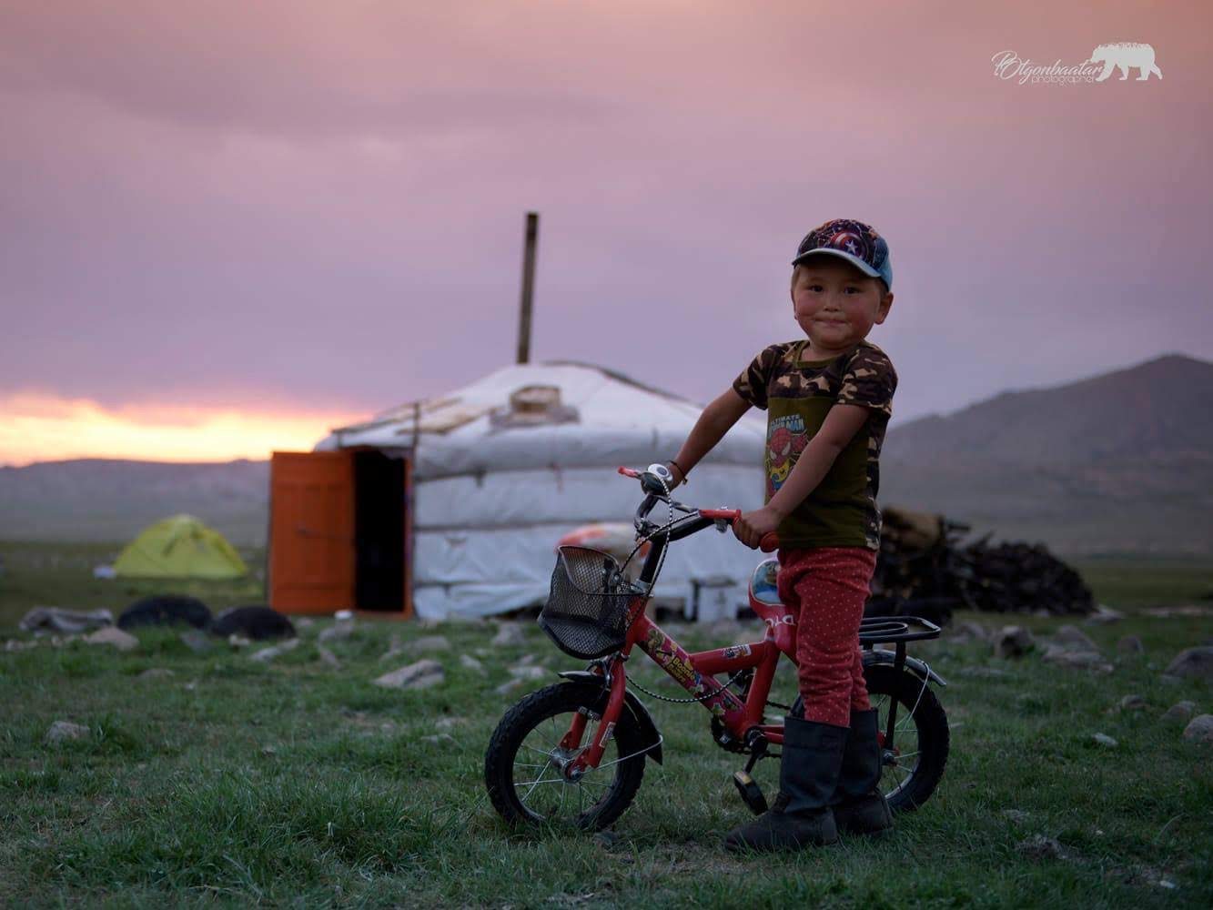 a tree with pink flowers in front of a store
