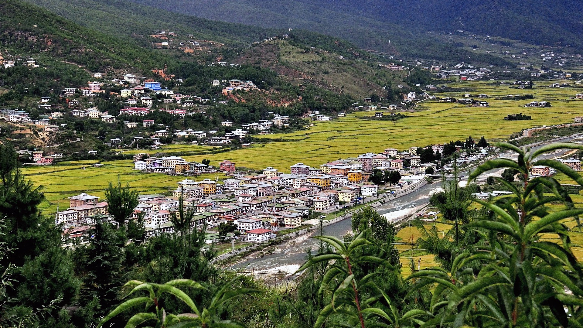 The potala palace stands majestically in the distance.