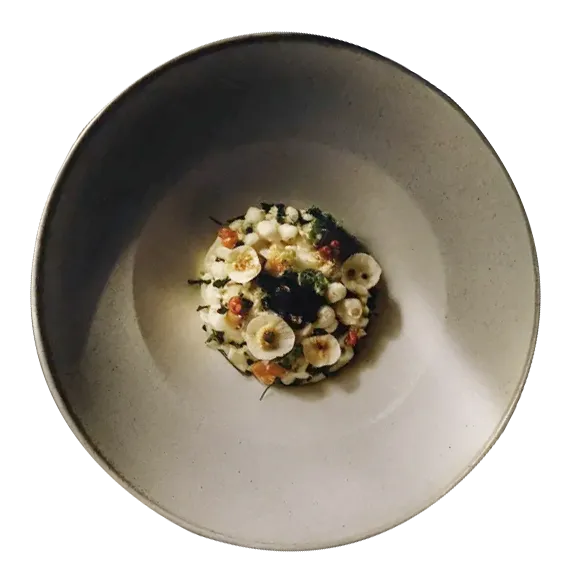 Citrus Cured Scallop Tartare