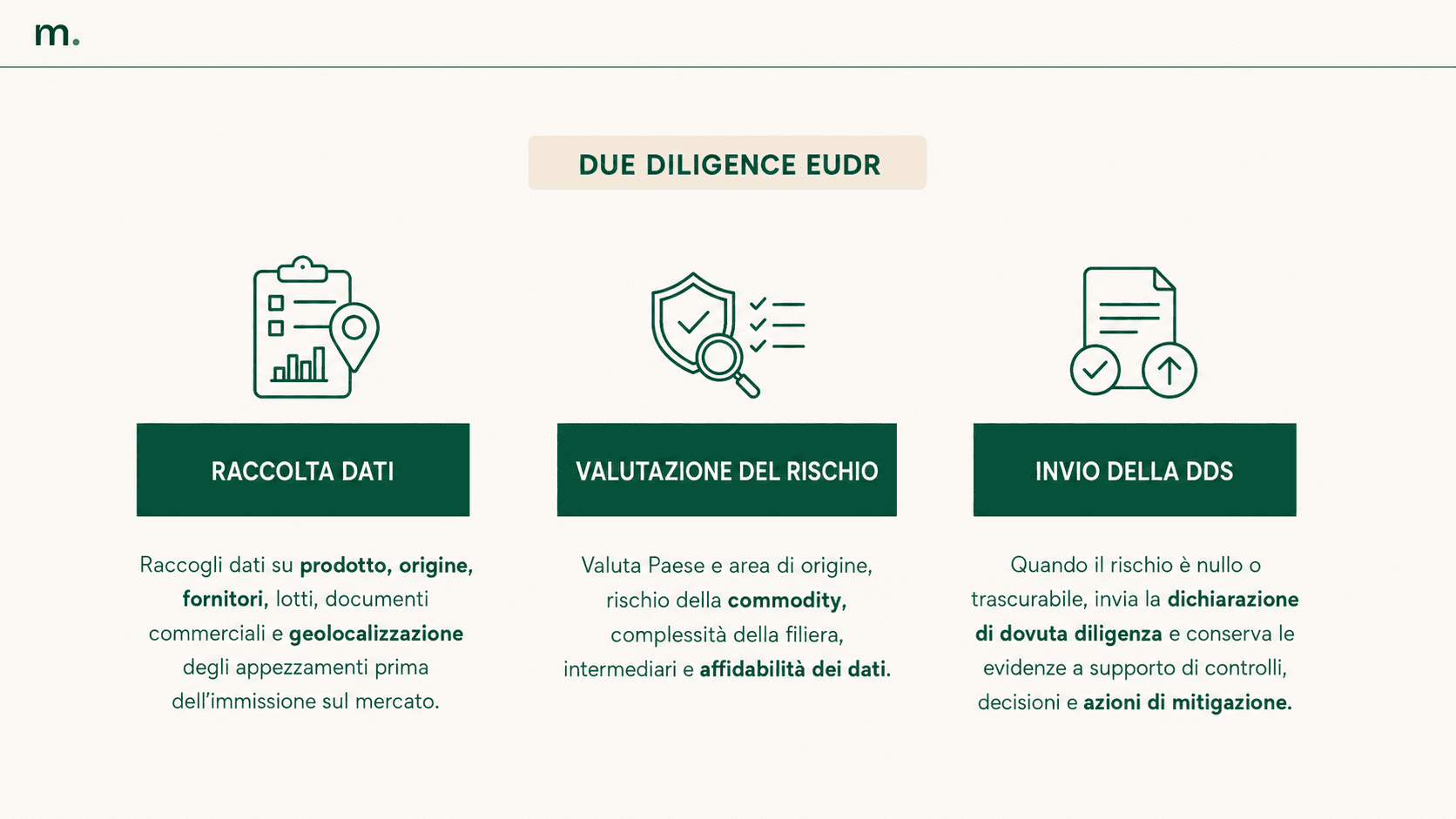 Infografica sulla due diligence EUDR con raccolta dati, valutazione del rischio e invio della dichiarazione di dovuta diligenza.