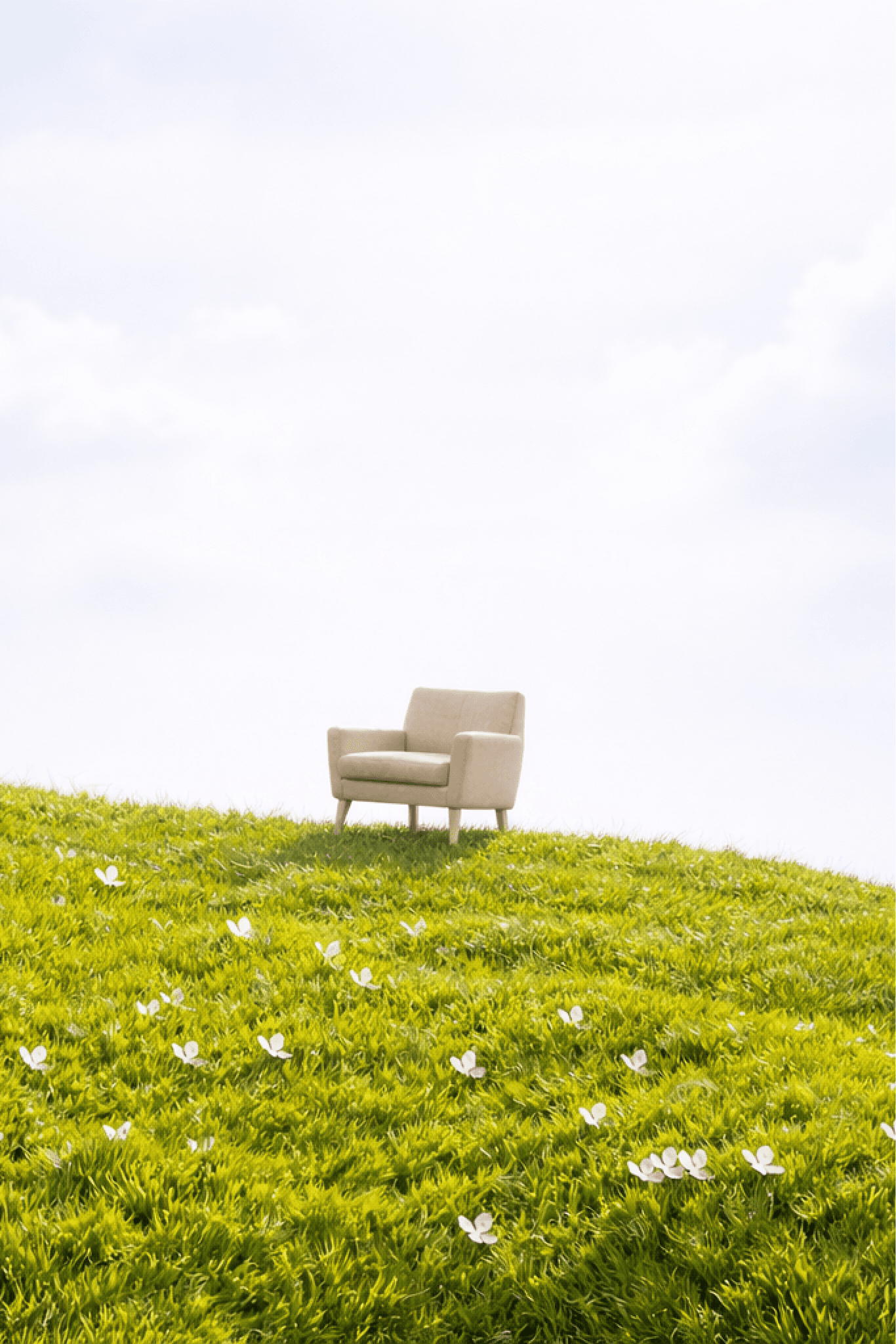 sofa on grass