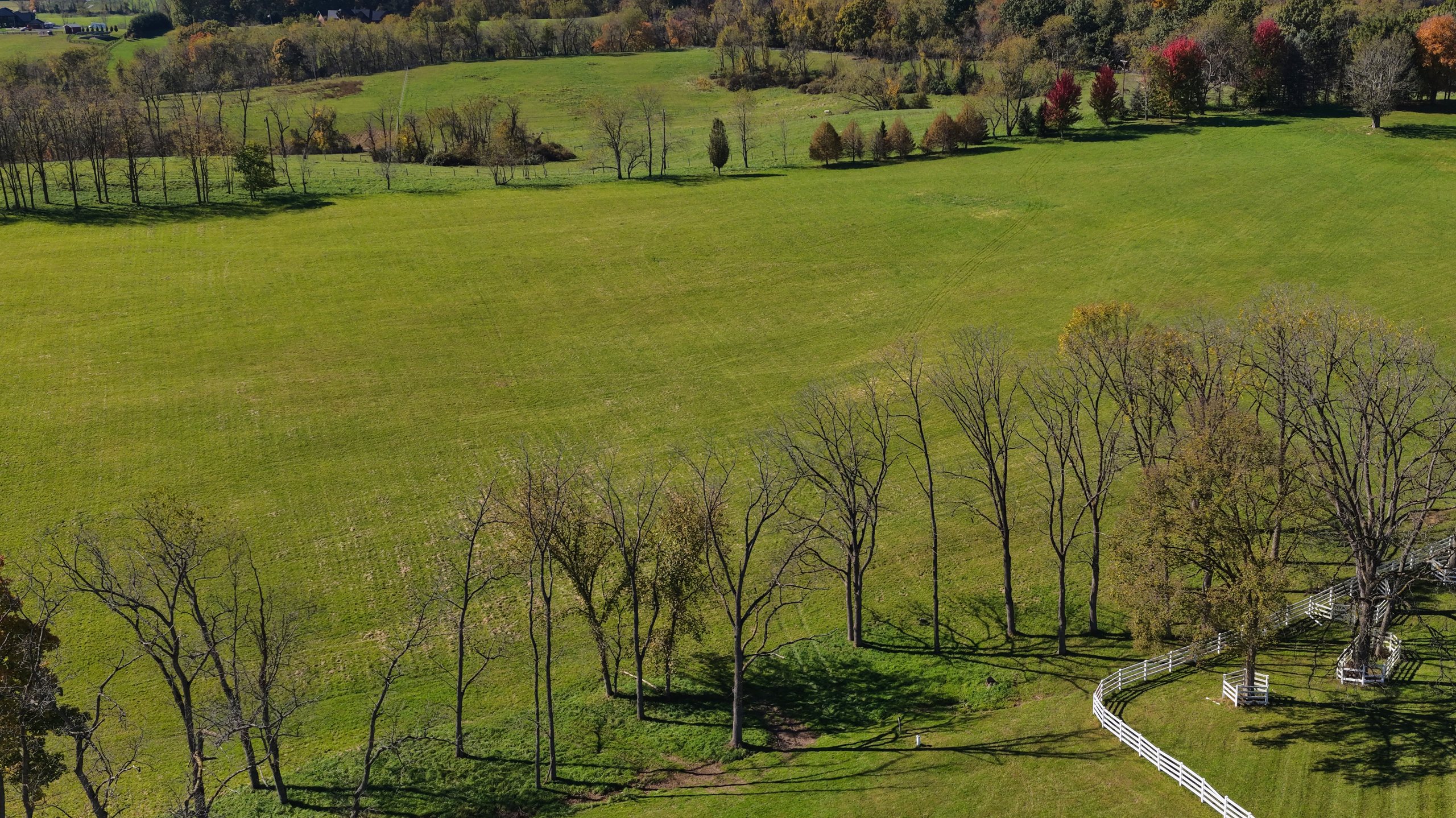 Drone view of open pasture and a line of mature trees at Triple Crown Estates, McMurray, Pennsylvania