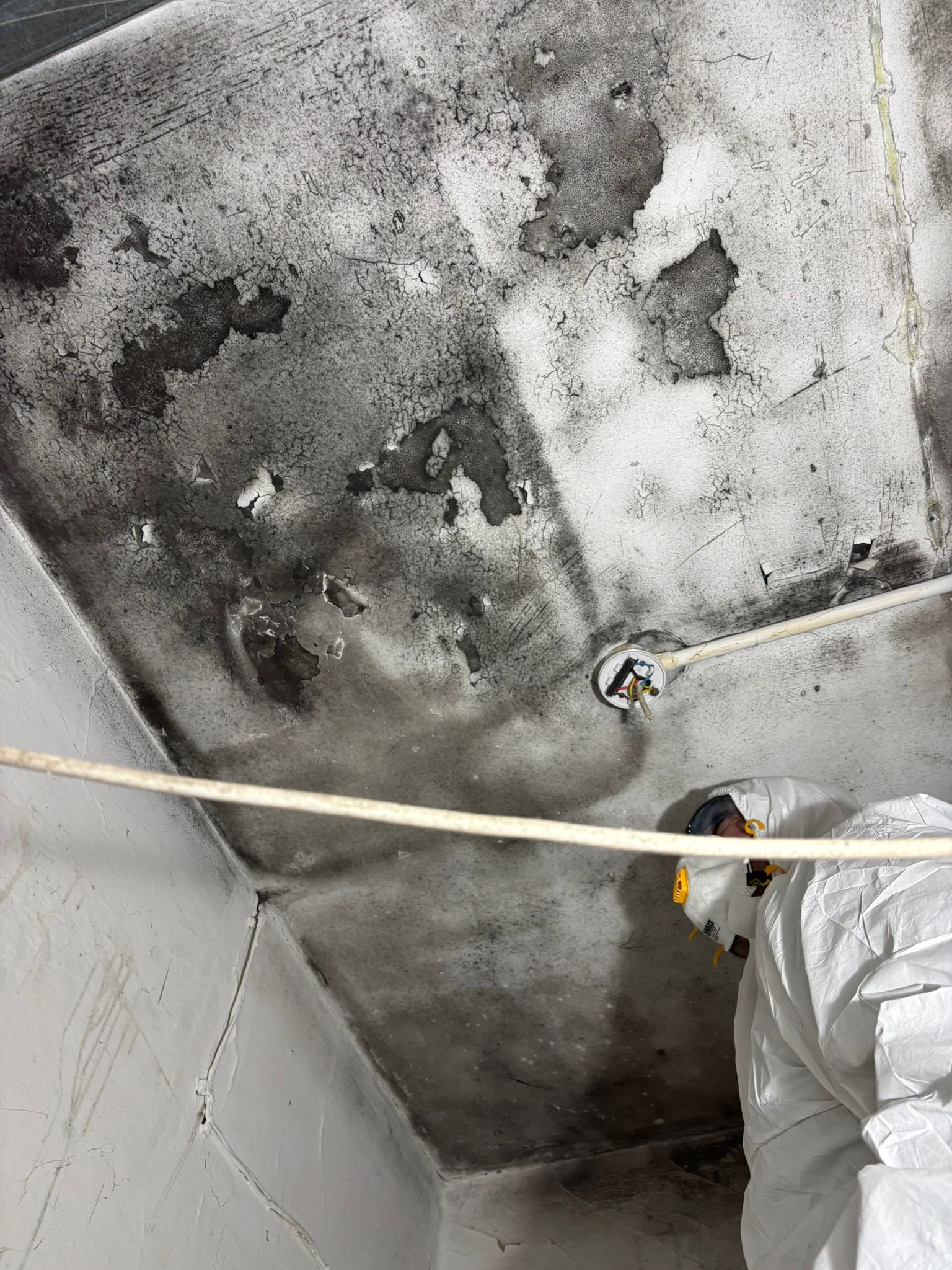 Medically important remediation site detail