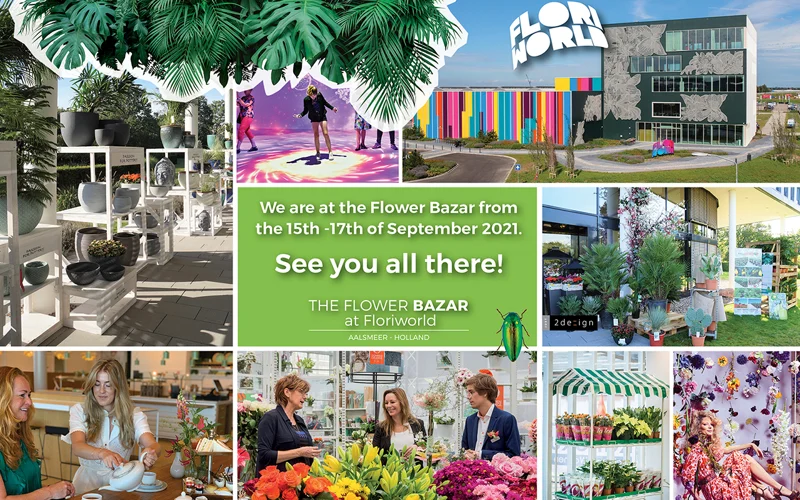 The Flower Bazar informatie afbeelding