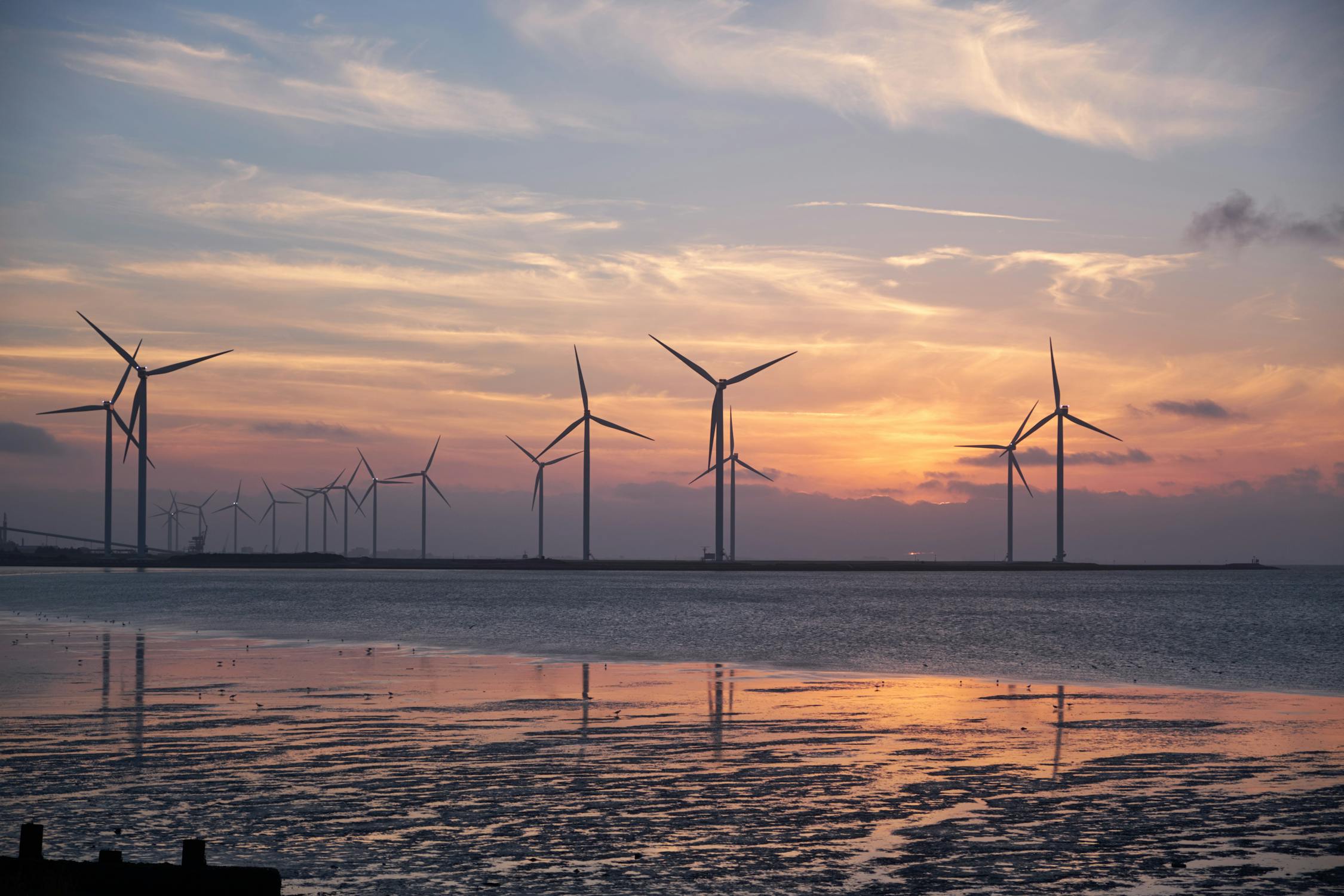 Wind turbines in a green field at sunset