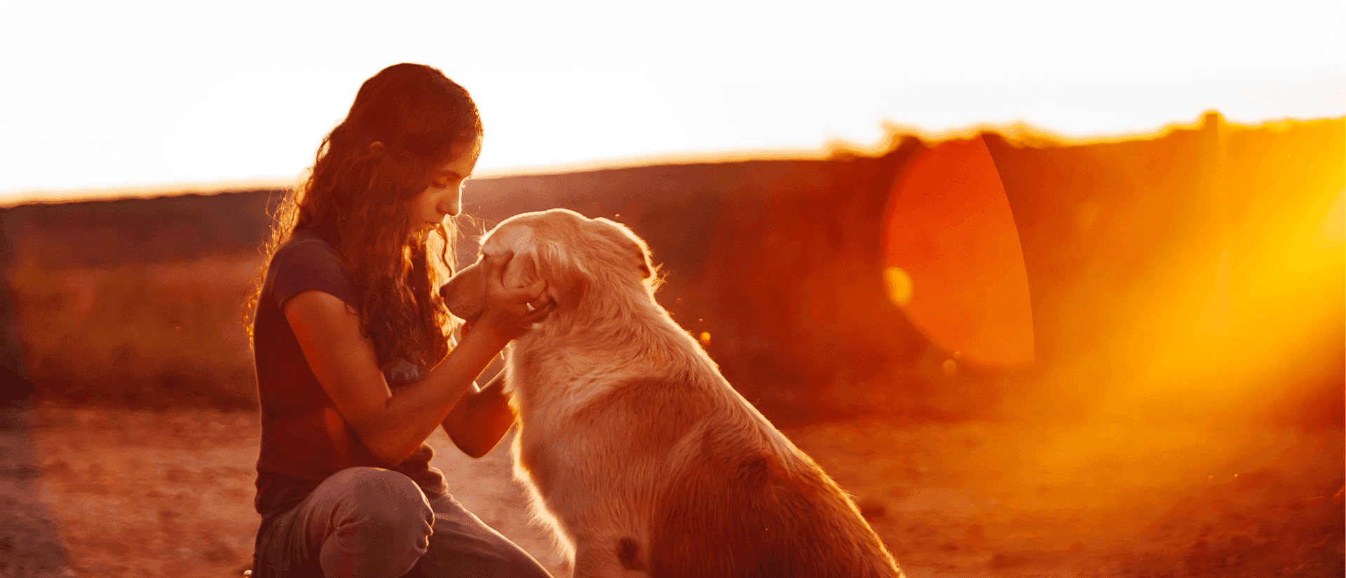 Animal Communicator