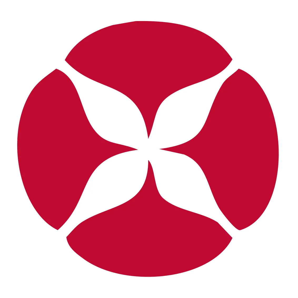 Localized GALS Ohio logo variant integrating the GALS mark with the Ohio state flag’s burgee shape. Just the logomark.