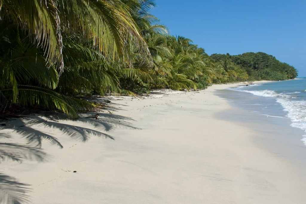 White sand beach in Cahuita National Park, Costa Rica