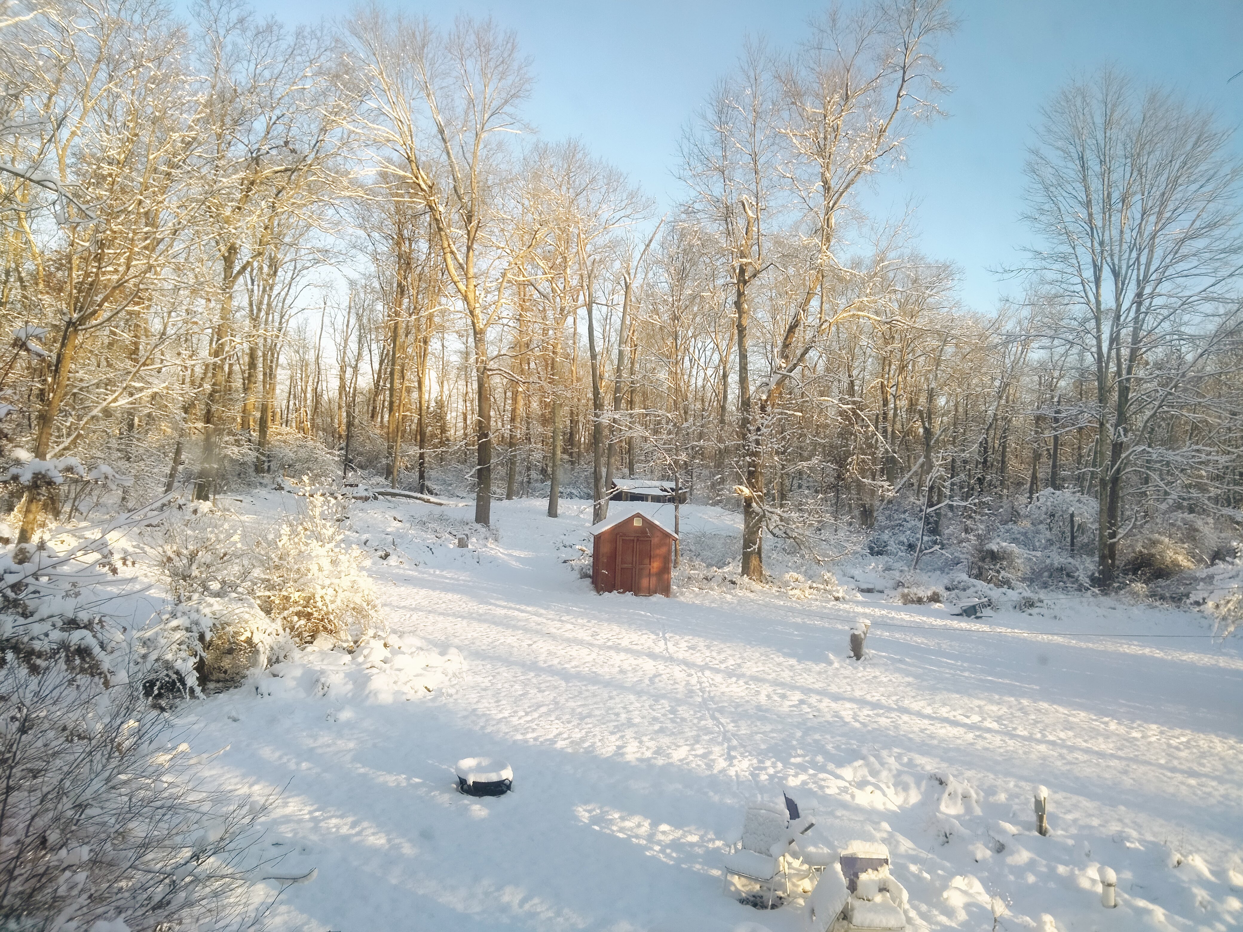my backyard