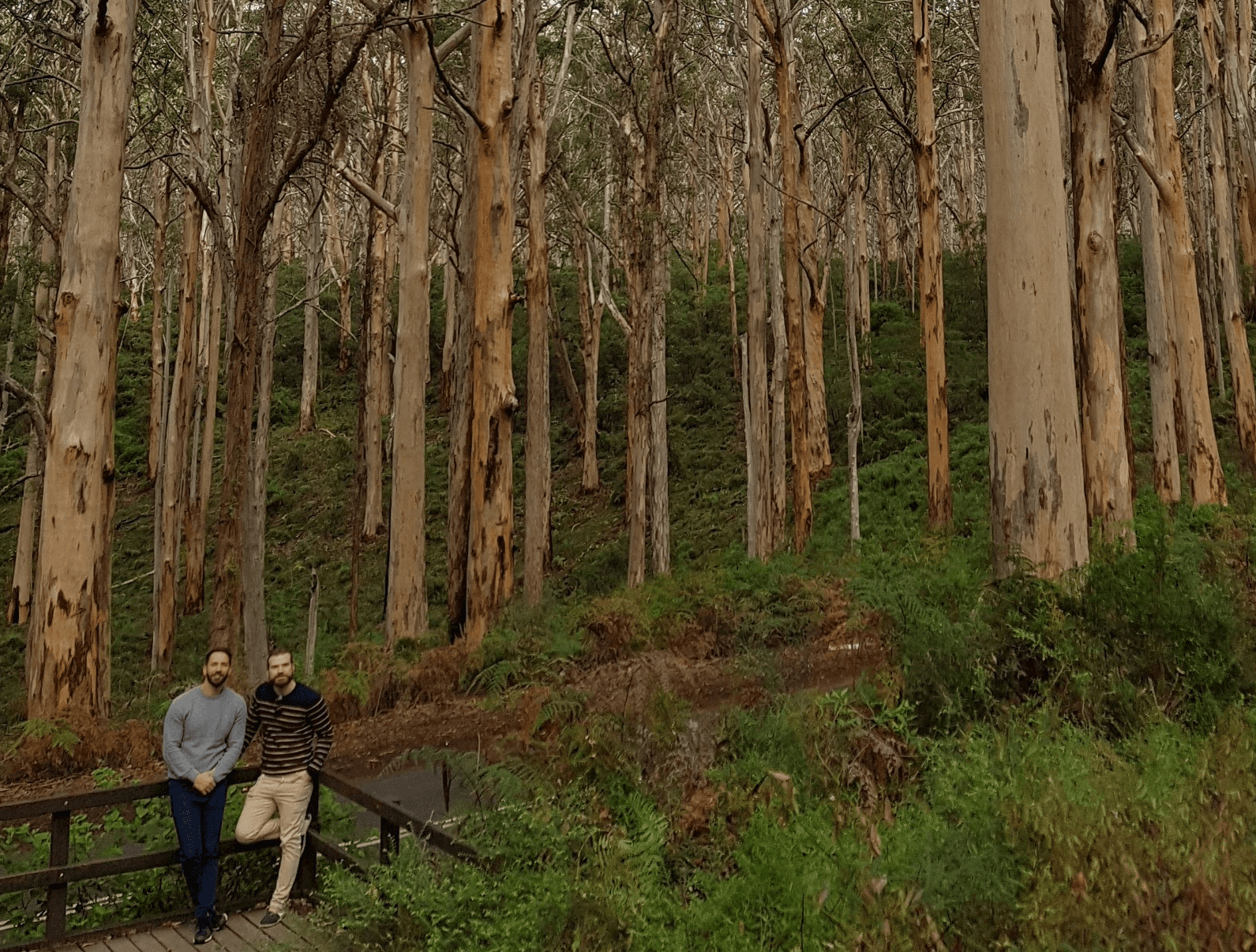 Boranup Forest Nature Walk