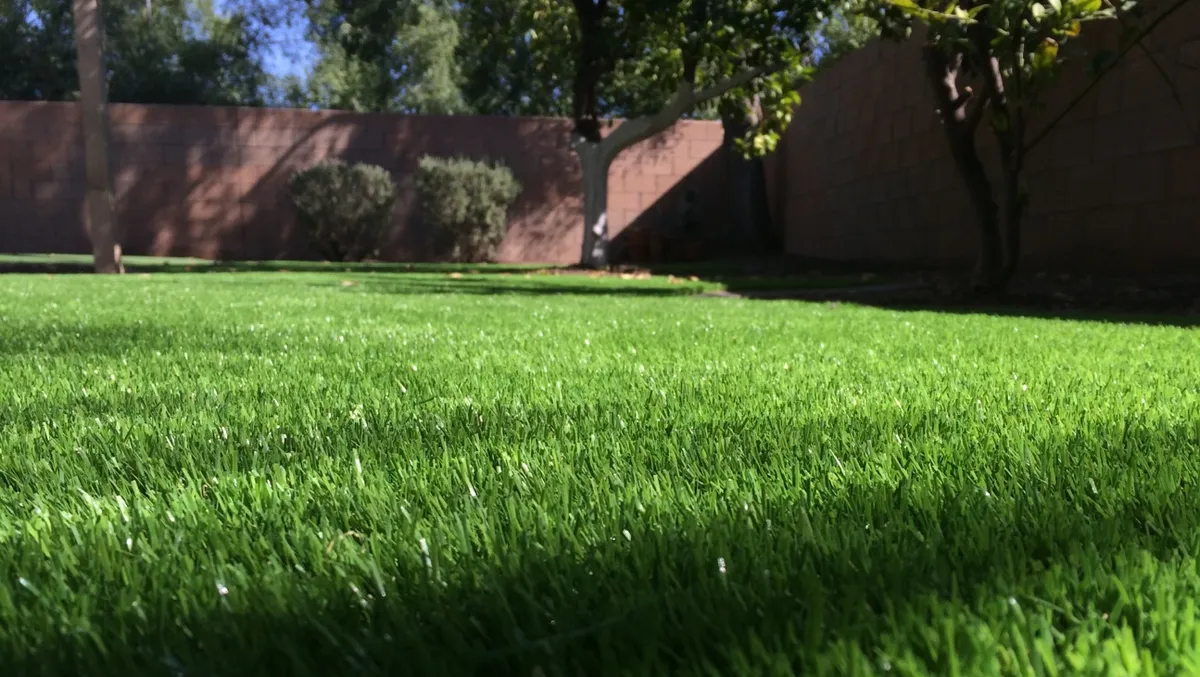artificial turf in arizona backyard
